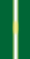 una linea bianca su sfondo verde